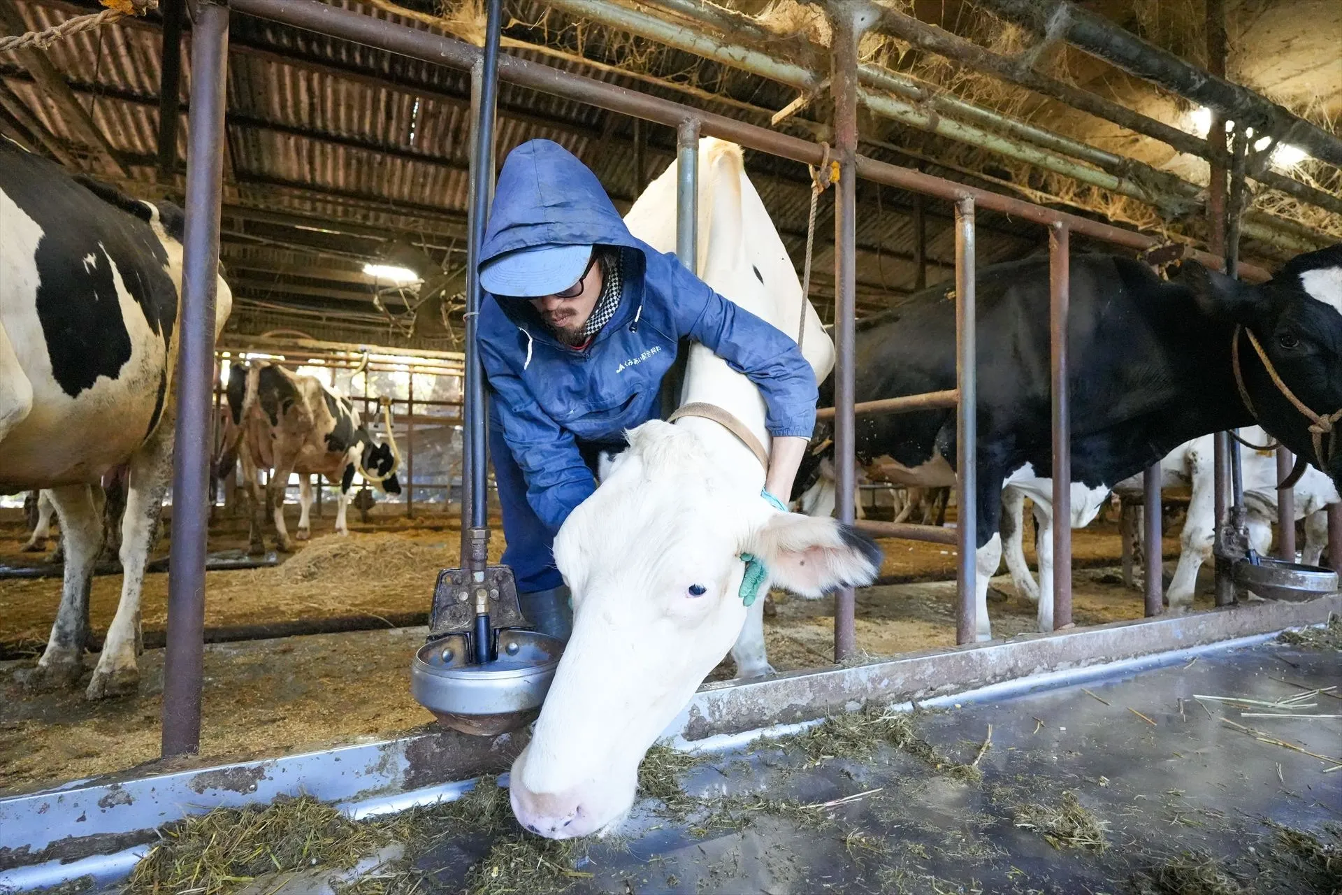 気軽に質問や相談ができる安心の雰囲気